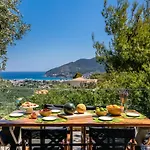 Antigone Luxury Retreat Villa Skopelos stad